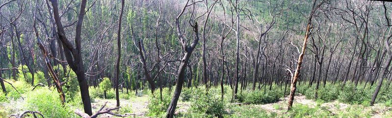 File:2010-03-20-pano.jpg