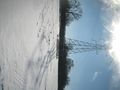 2010-02-14 42 -88 power lines.JPG