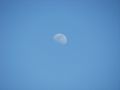 2009-04-04 40 -87 - The Moon.JPG