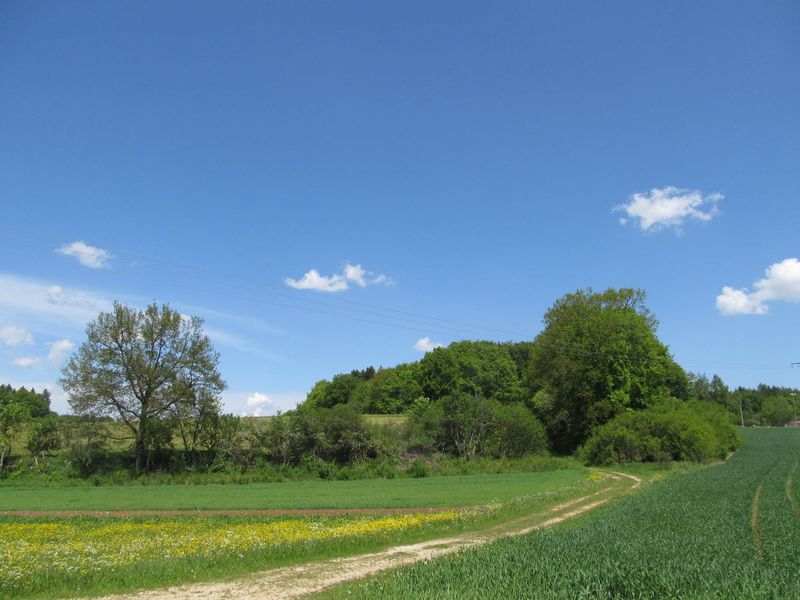 File:2012-05-20 48 9 vfh field.JPG