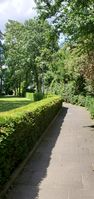 "paved footpath next to hedges and trees" 