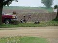 2013-05-22 43 -89 Mower.jpg