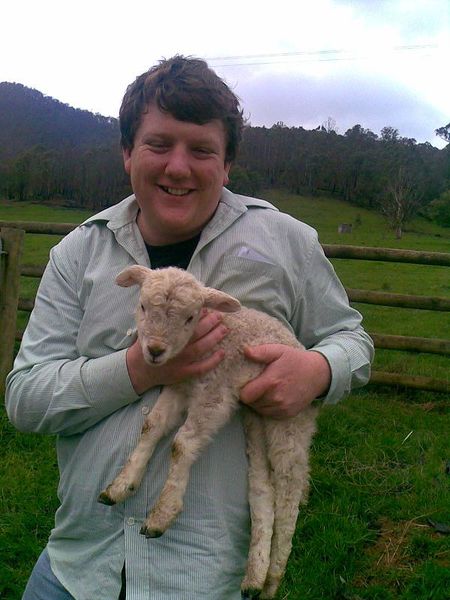 File:2009-08-30--36-146-11-kieran-sheep.JPG