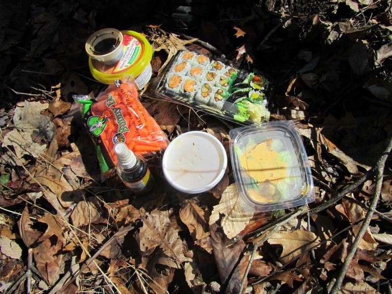 File:2013-03-17 42 -72 picnic.JPG