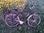 2020-04-28 52 09 11 Bicycle.jpg