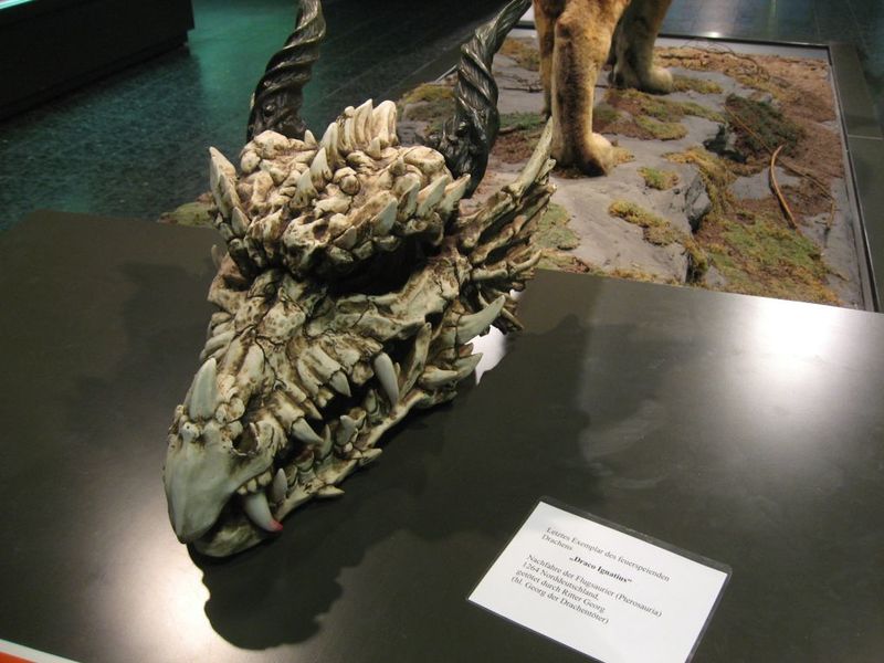 File:2009-10-09 53 9 ilpadre dragon.jpg