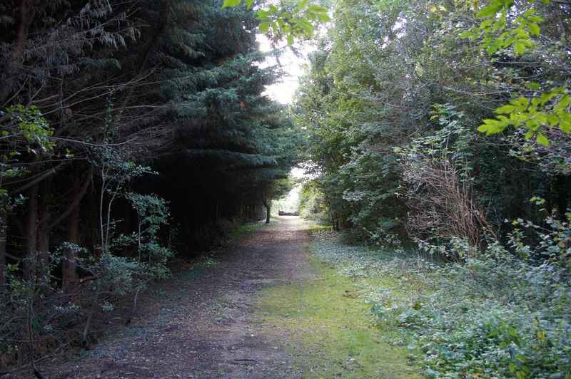 File:2012-10-14 51 0 footpath.JPG