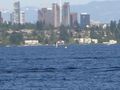 Bellevue buoy.jpg