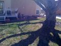 2010-04-02 39 -105 site-lawn.JPG