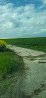 "agricultural road viewed through car window"