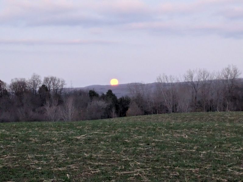 File:2024-11-16 42 -78 moonrise.jpg