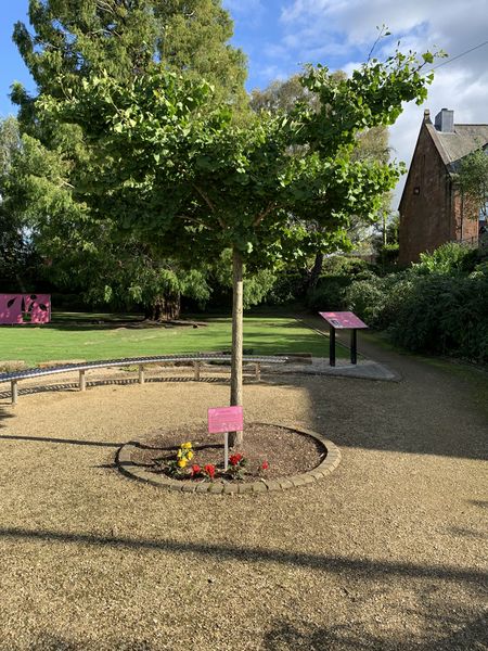 File:2024-09-12 55 -4 GinkgoBiloba.jpg