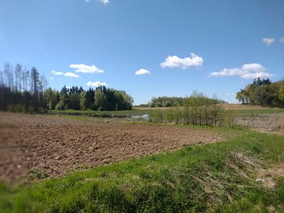 Field, small lake