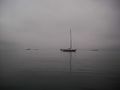 2008-09-21 49 -123 sailboat.jpg
