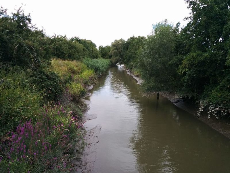 File:2018-08-05 53 09 11 Tributary.jpg