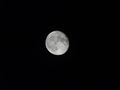 2015-09-29 52 0 moon.JPG