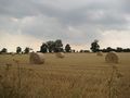 100724 bales.JPG