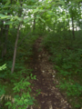 2010-07-07 43 -88 steep-trail.png