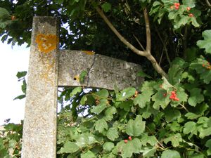 2012-08-17 51 0 broken sign.jpg