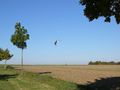 2010-10-10 49 9 b kite.jpg