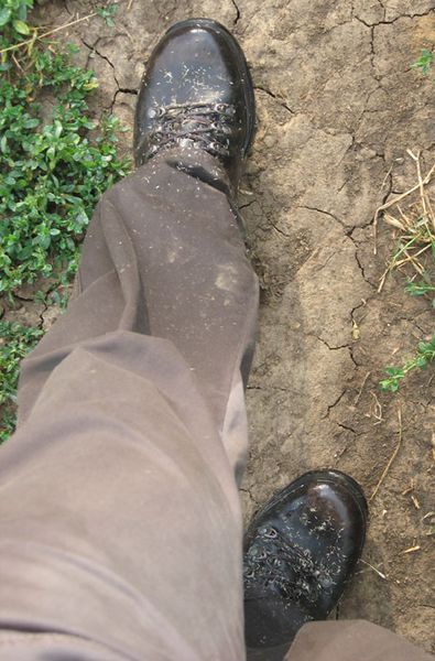 File:Mud.jpg