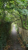 "narrow path, quite shady due to trees above"