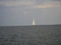 2009-08-27 54 10 sail boat.jpg