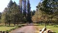 2013-10-20 44 -123 arboretum.jpg