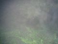 2014-06-04 50 8 mist in the air.jpg