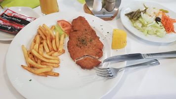 "plate with Viennese schnitzel, french fries; salad on the right; sachets of ketchup on the left"