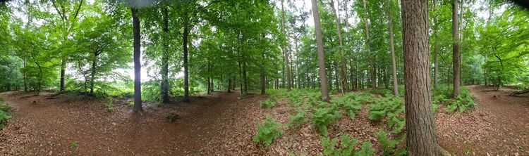 Panorama at the geohash