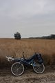 2012-11-09 52 5 bike.JPG