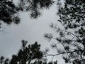 2009-03-08 sky.jpg