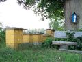2011-07-10-49-11-07-Bees-and-bench.JPG