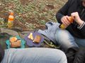 2011-01-30-53-10 picnic.jpg