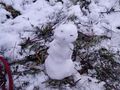 2021-01-08 49 8 snowman.jpg