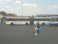 2011 07 23 55 85 bus.jpg