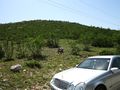 20120630-44-15-07-Car-turned-around-and-hashe-up-the-hill.JPG