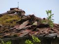 2012-06-23 49 8 abandoned house roof.jpg
