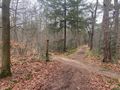 2024-02-17 52 5 mtb path.jpeg