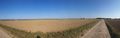 Panorama in field.jpg