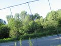 20090716-48-7-zaun.jpg