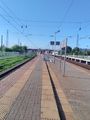 2021-06-16 55 38 Platform 88th km 1.jpg