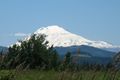 2012-06-11 45 -121 Mt Adams.jpg