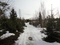 2012-03-12 62 17 - P2 - Trail.JPG