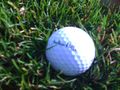 2009-11-15 42 -84 Golf Ball.JPG