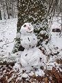 2021-01-17 50 7 snowman.jpg
