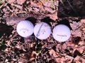 2022-02-26 52 9 05 Golf Balls.jpg