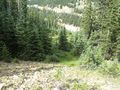 2012-07-13 39 -105 trail.jpeg