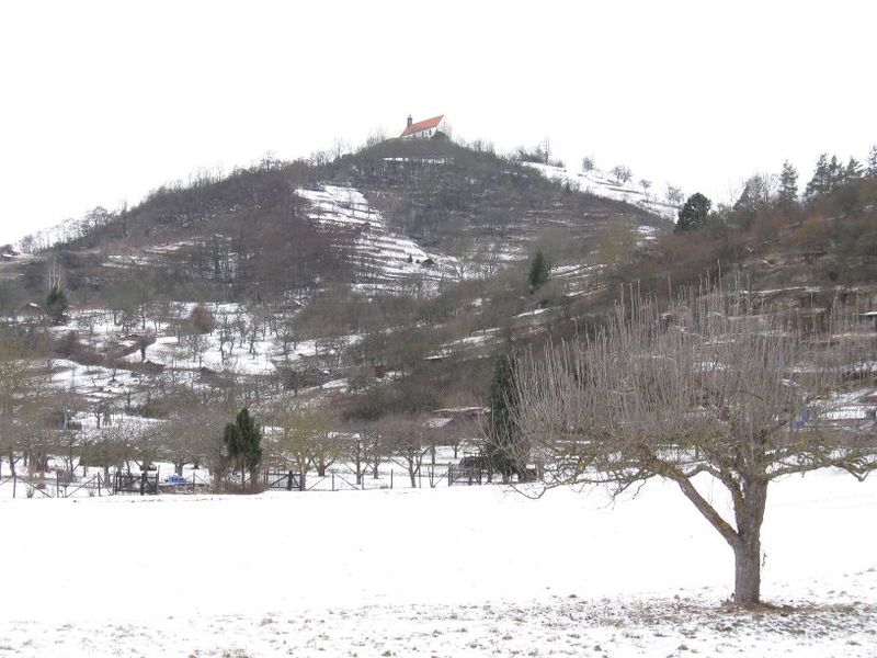 File:2010-02-01 48 8 Wurmlingen 1.jpg